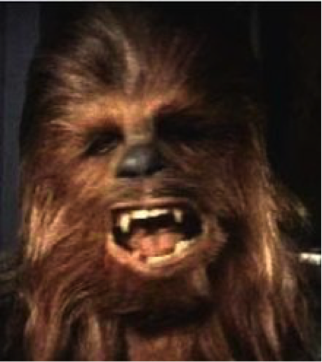 Chewy1