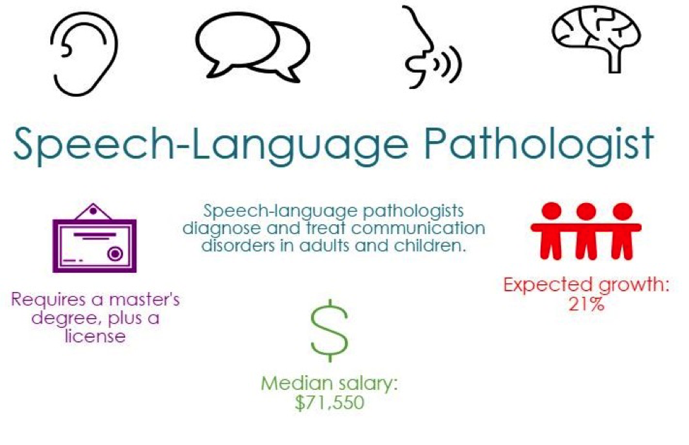 Speech language pathologist