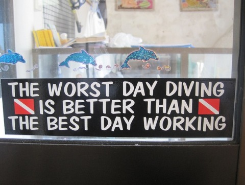 better-than-the-best-day-working-diving-bumper-sticker