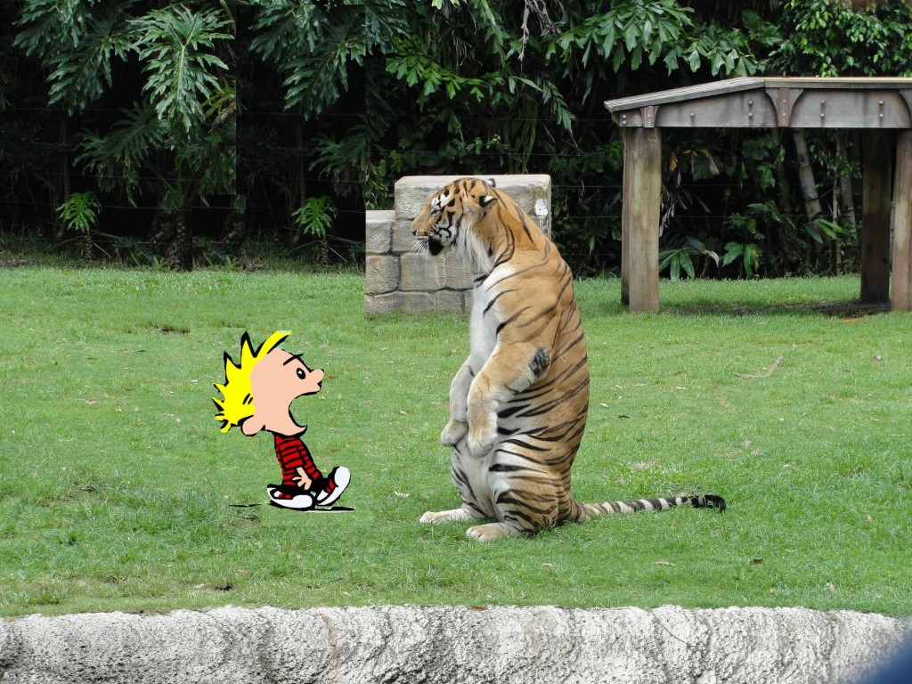 calvin