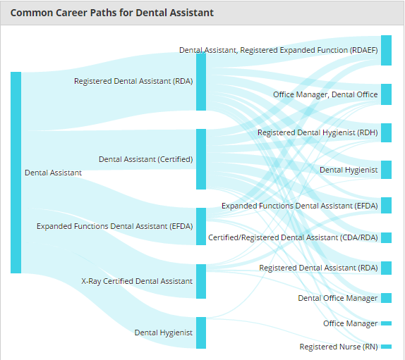 common career paths