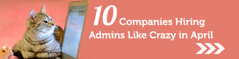 companies-hiring-admins
