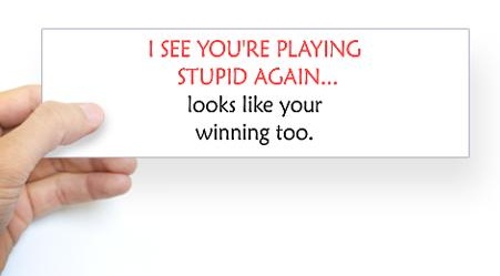 playing-stupid-bumper-sticker