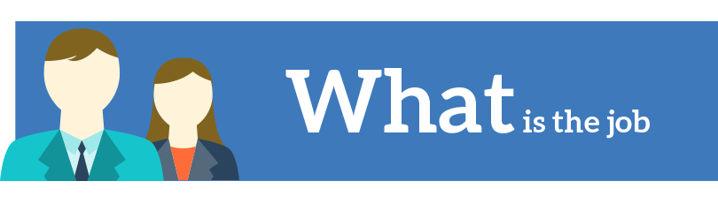 what-is-the-job