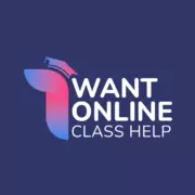 I Want Online Class Help In USA logo